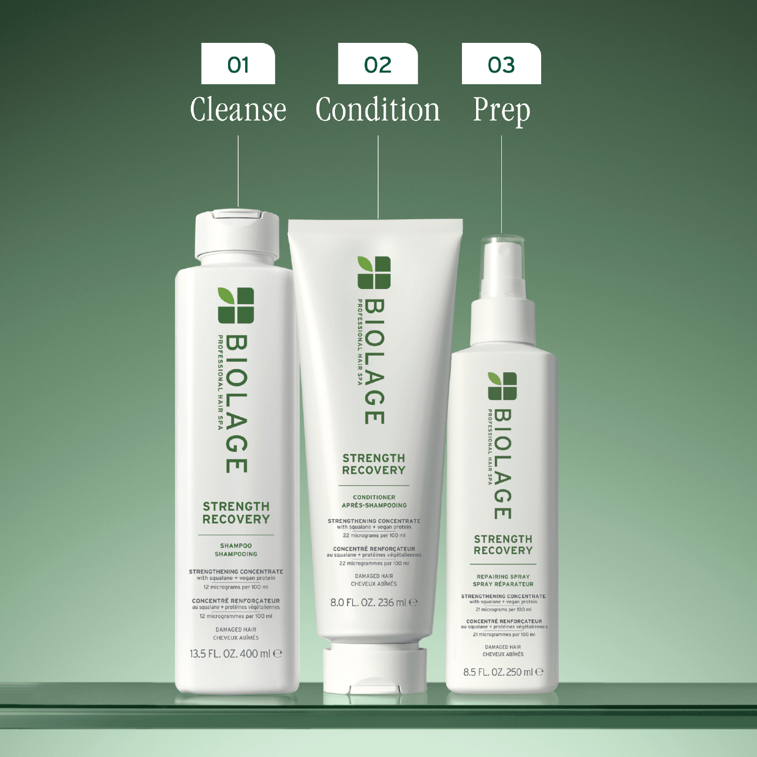 Biolage Strength Recovery Spray 250ml