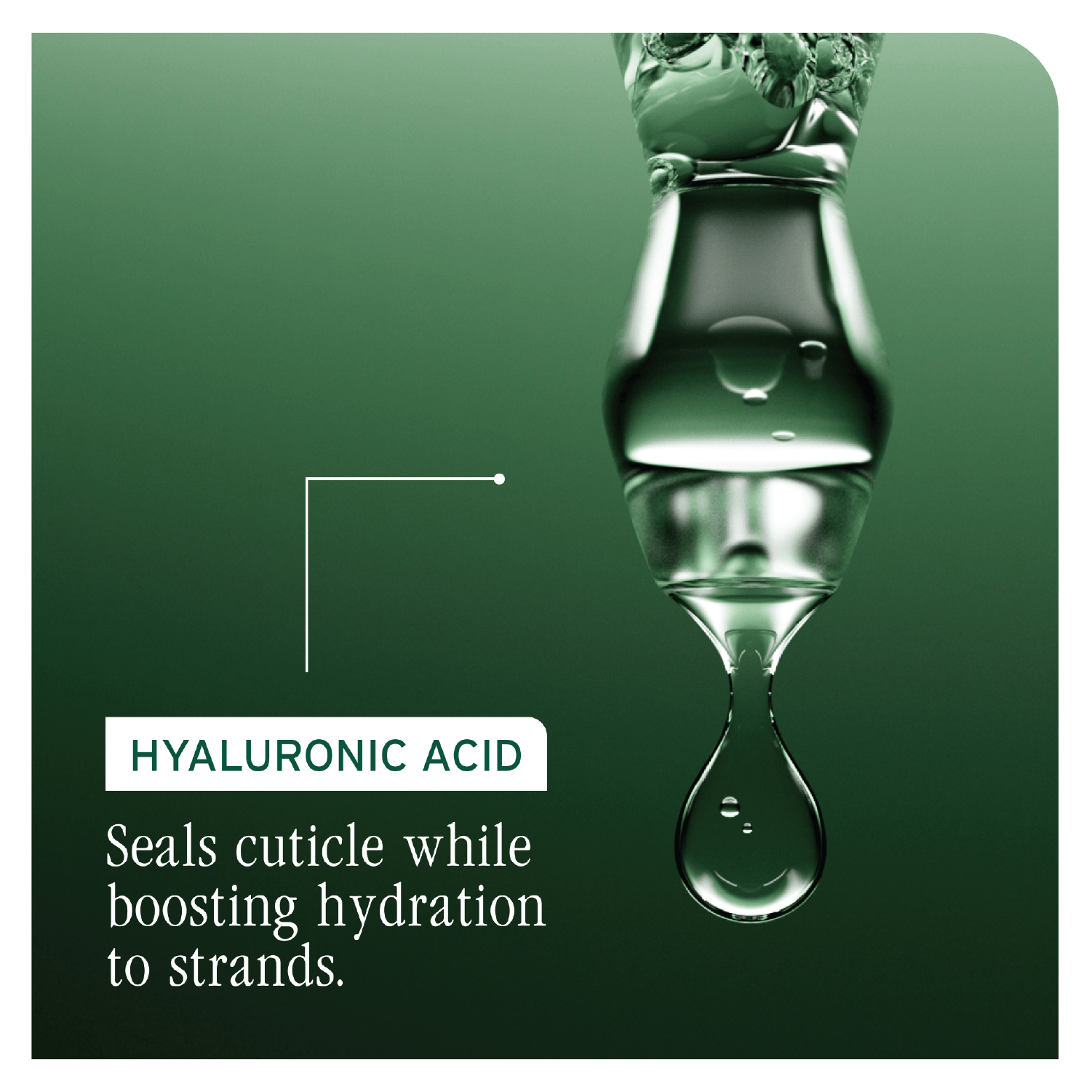 Biolage Hydrasource Daily Leave In 400ml