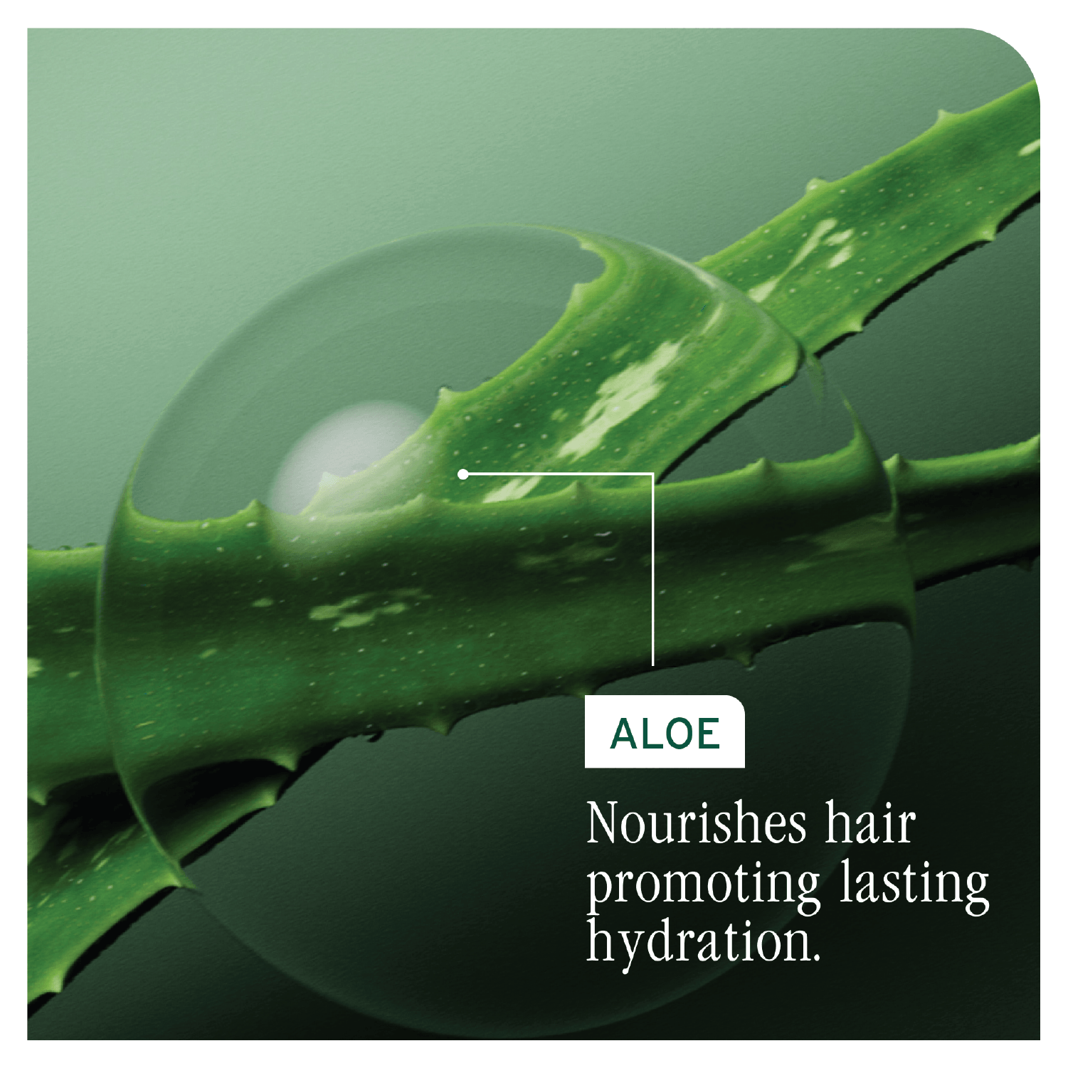 Biolage Hydrasource Leave In Cream 200ml