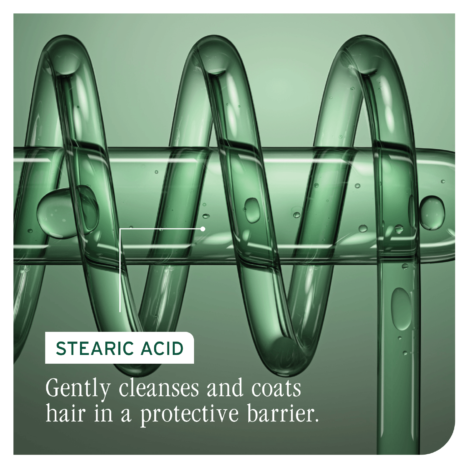 Biolage Colorlast Conditioner Refill 500ml