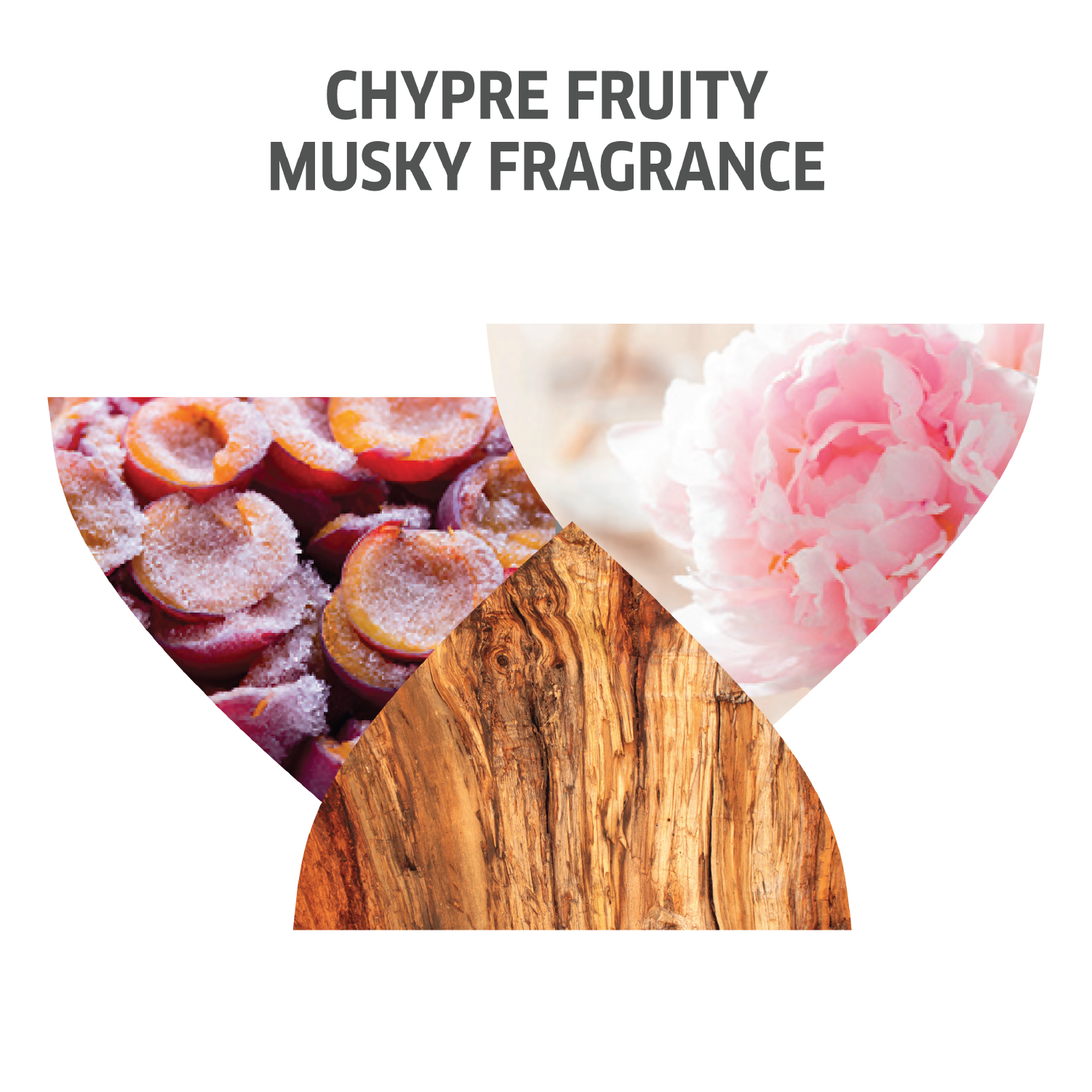 Wella Invigo Nutri-Enrich Deep Nourishing Shampoo 250ml