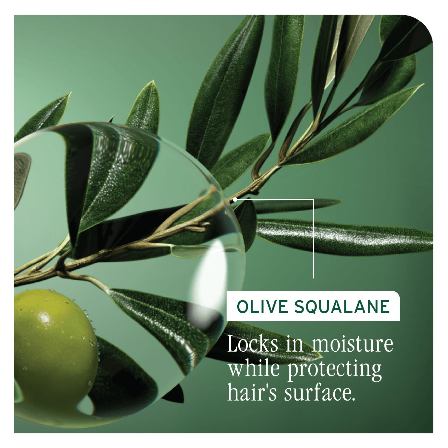 Biolage Strength Recovery Spray 250ml