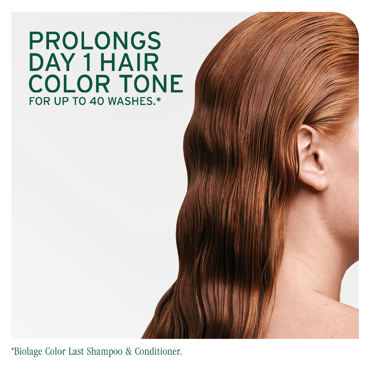 Biolage Colorlast Shampoo 400ml