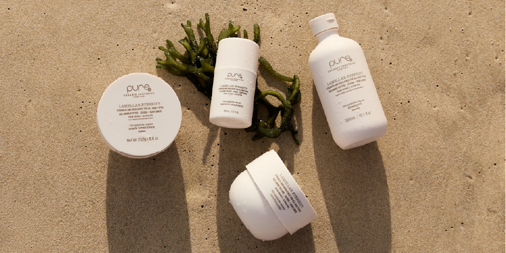 Opening Deals Available