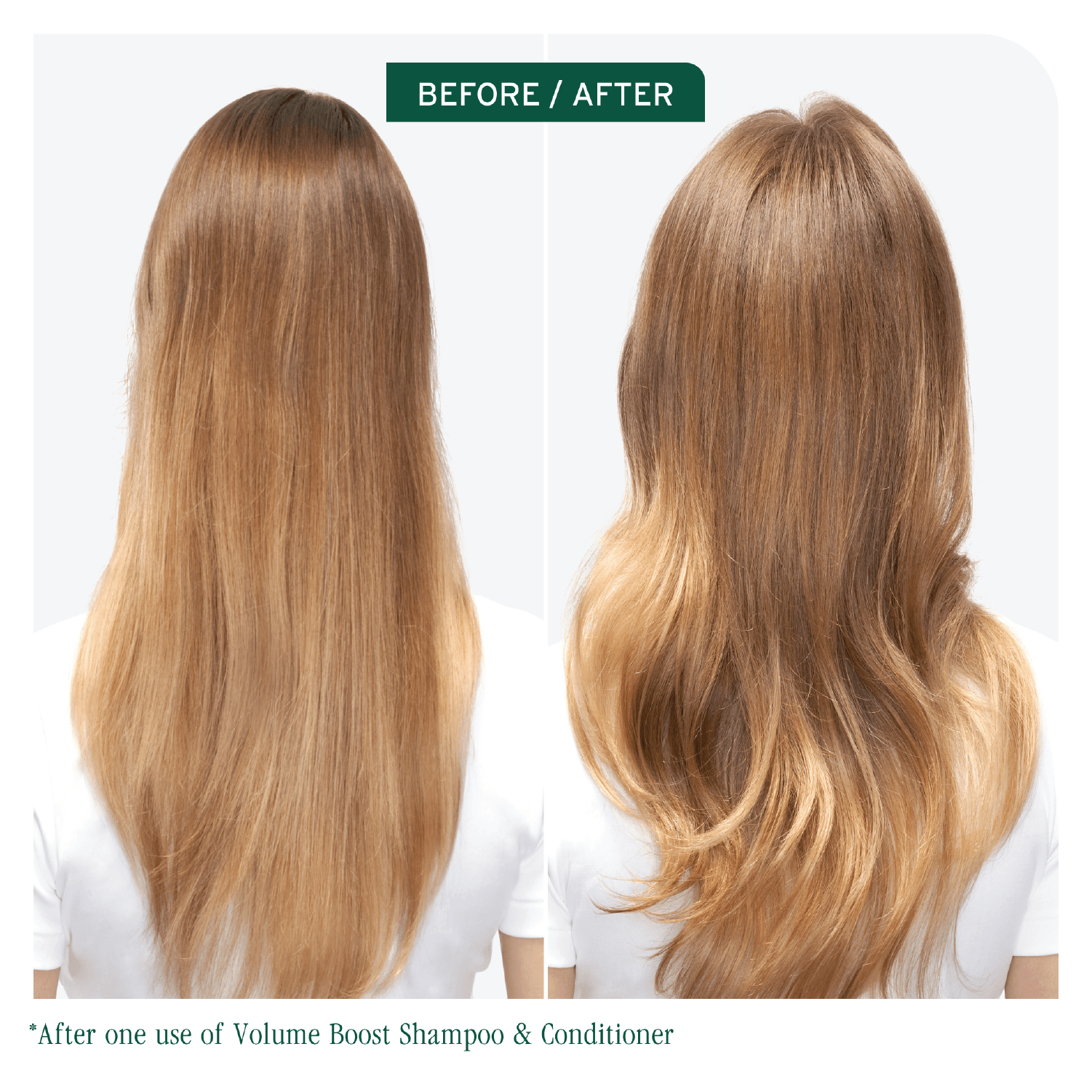 Biolage Volume Boost Shampoo 400ml