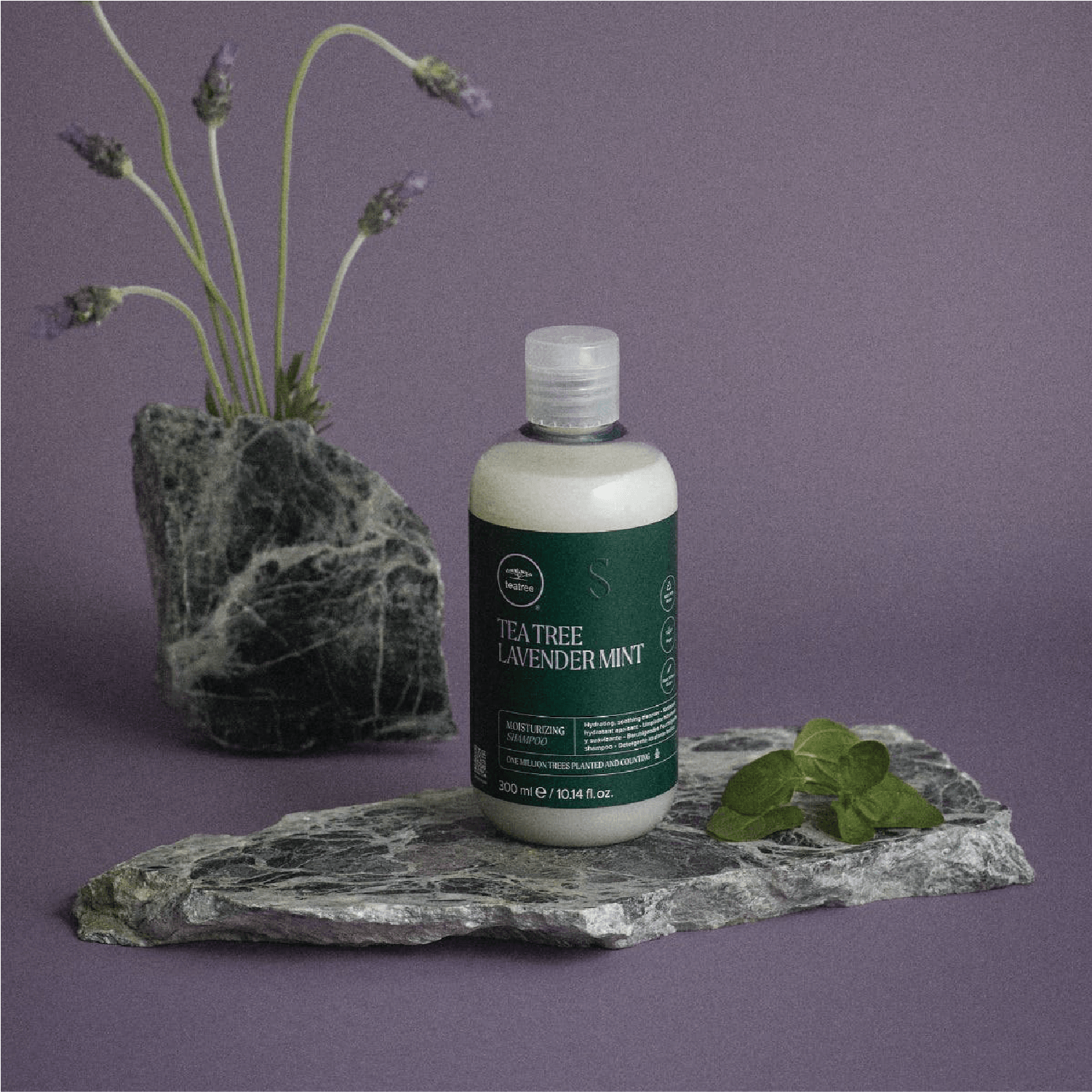 Paul Mitchell Tea Tree Lavender Mint Moisture Shampoo 300ml