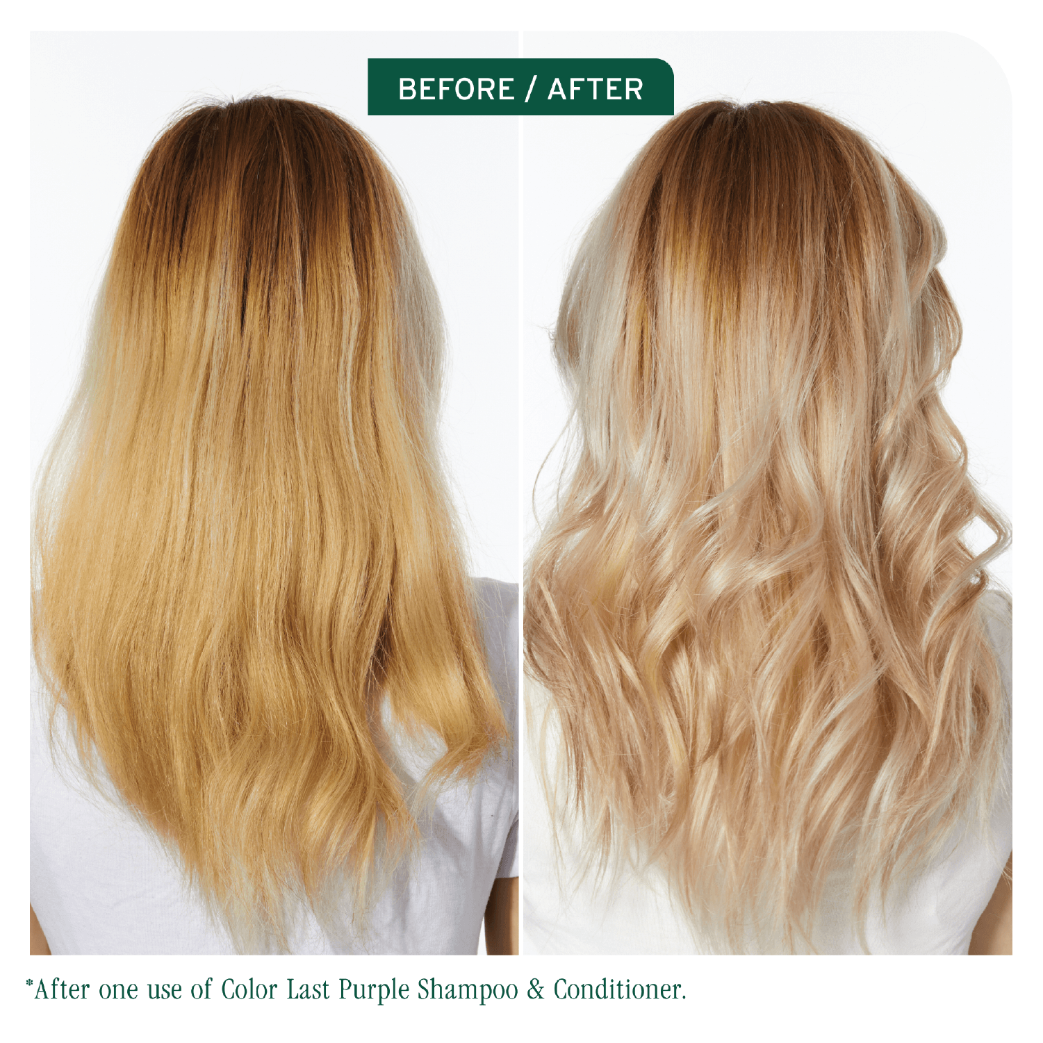 Biolage Colorlast Conditioner Refill 500ml