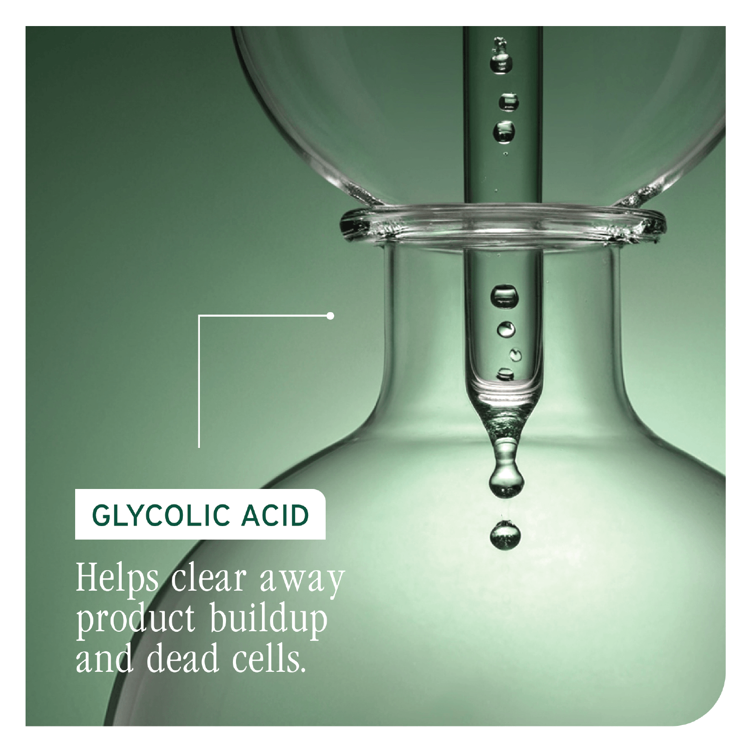 Biolage Scalp Sync Universal Conditioner 236ml