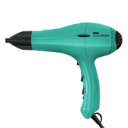 Wahl Supadryer Duck Egg Green