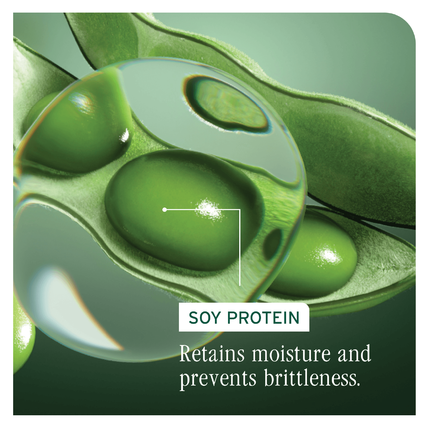 Biolage Volume Boost Spray 250ml