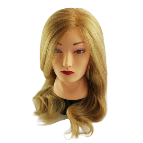 Mannequin #8 2021L8 Blonde (100% Human Hair)