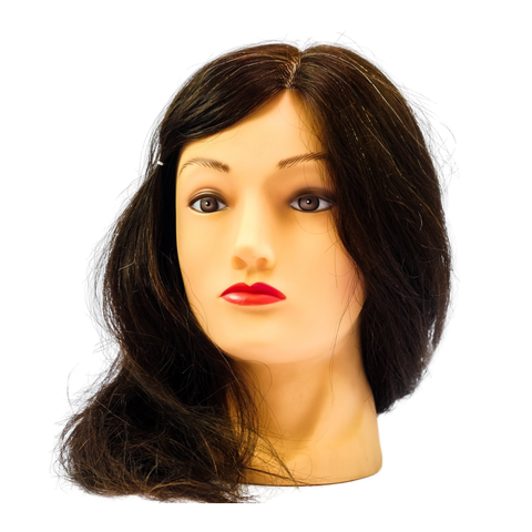 Mannequin #402 2021M Brown (100% Human Hair)