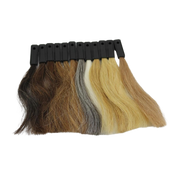 Colour Swatch Human Hair HH10
